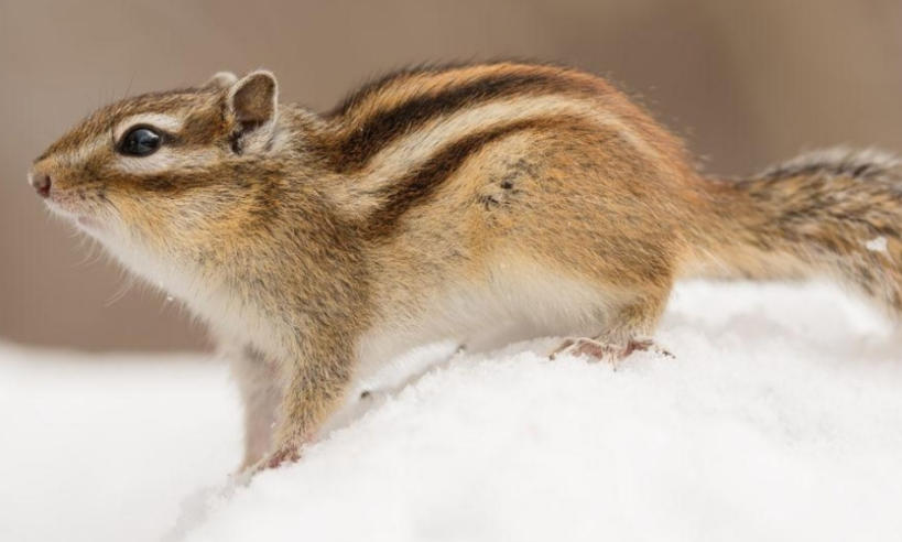 婺源信息港有限公司轮播图4